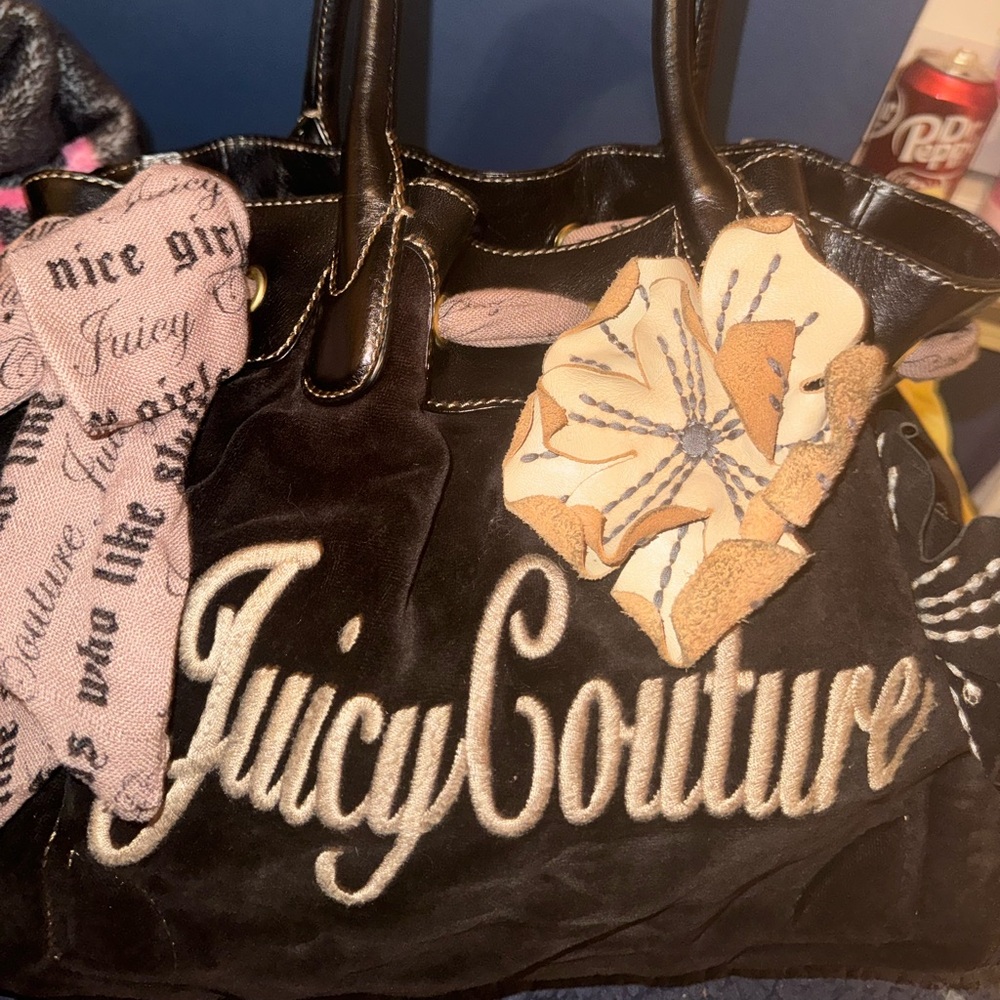 Juicy couture bag